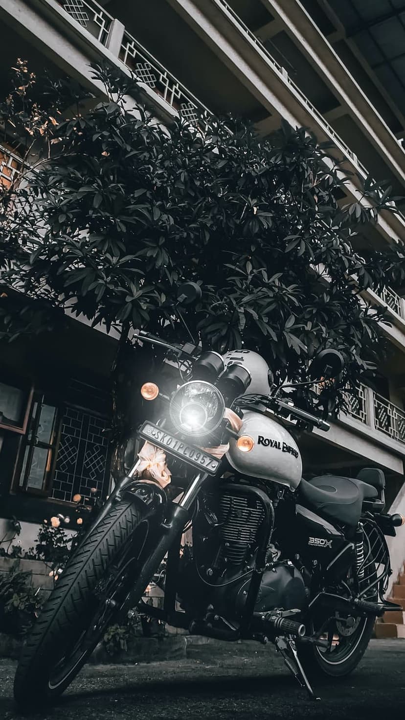 Royal Enfield motorcycle with a glowing headlight parked beneath a green tree with city balconies behind it.