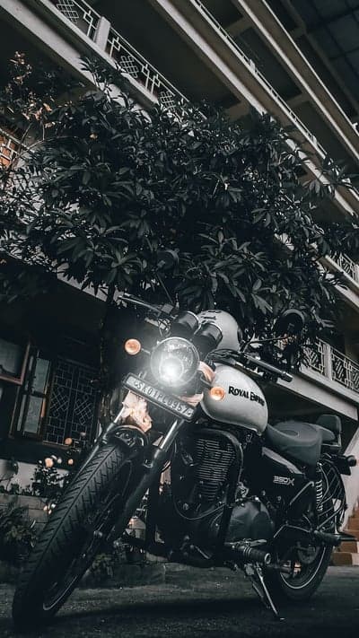 Royal Enfield motorcycle parked near a tree and building
