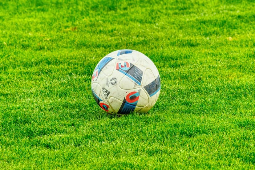 Classic black and white soccer ball sits on a vibrant green grass field during a bright, sunny afternoon.