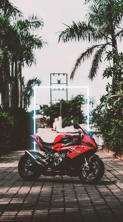 Red BMW Motorcycle Parked Amidst Palm Trees