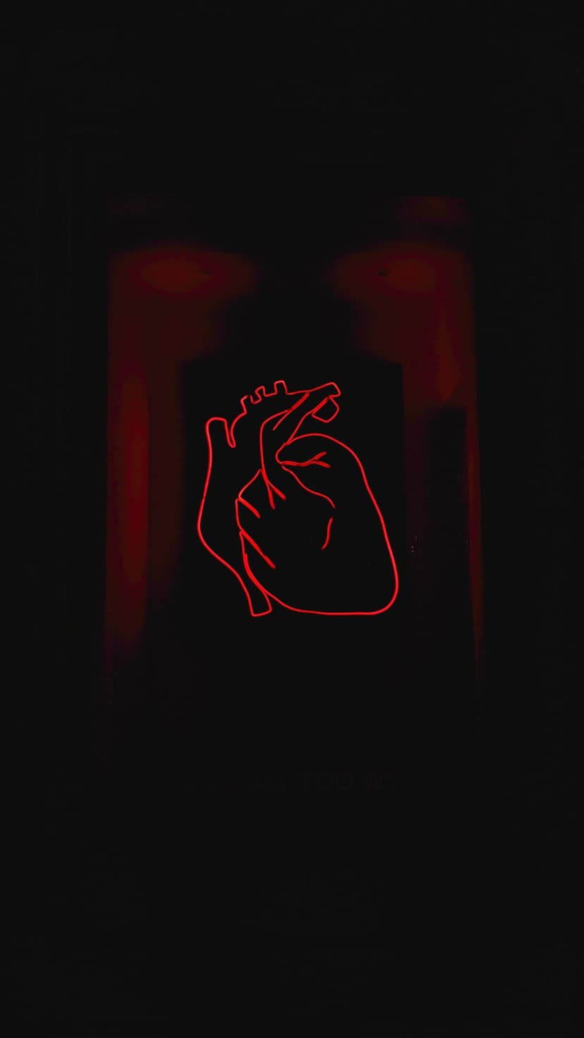 Red neon human heart outline glowing against a dark black background with soft crimson light diffusion.