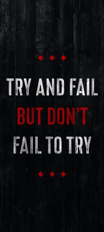Inspirational Quote: Try and Fail, But Don't Fail to Try