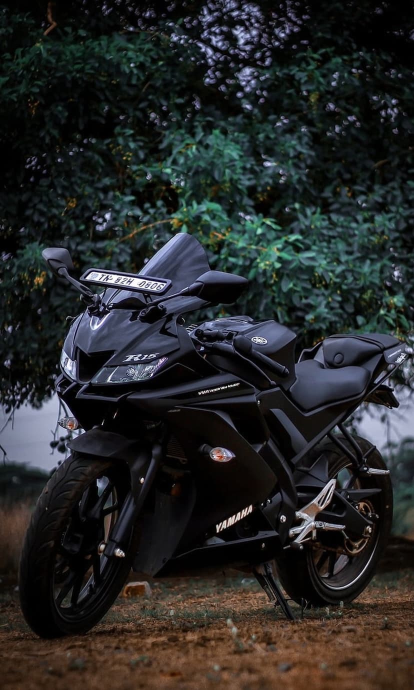 Black Yamaha R15 motorcycle parked on grass near a leafy tree, featuring a sharp visor and sportbike fairings.