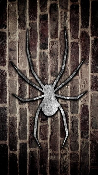 Spider graphic on distressed brick wall background
