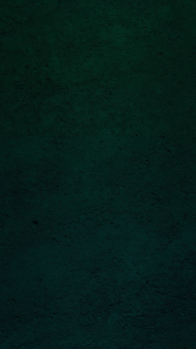 Dark teal textured surface with fine granular details and soft diffused lighting across a matte background.