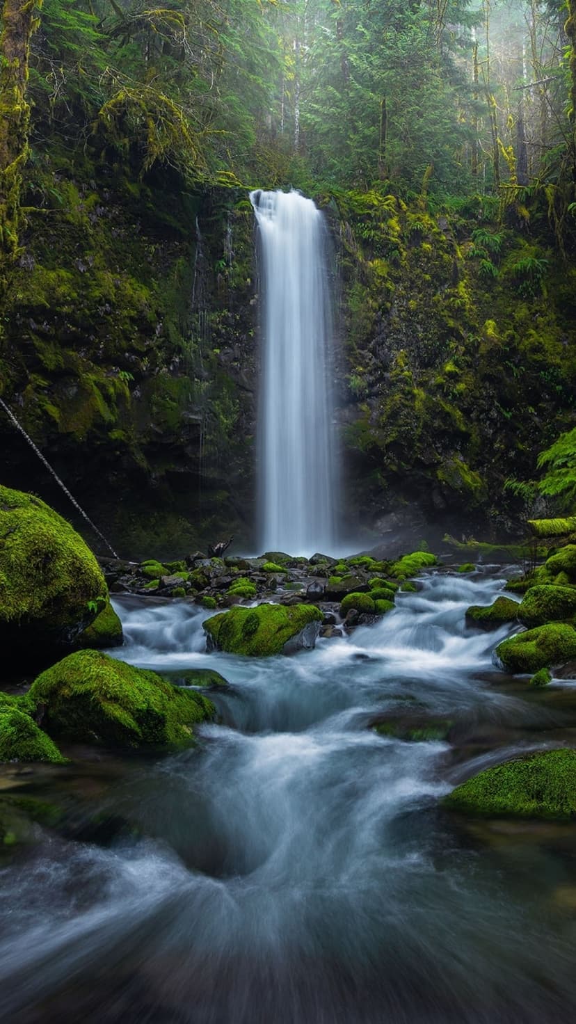 Waterfall cascading over mossy rocks in a dense green forest with long exposure motion blur on the stream.