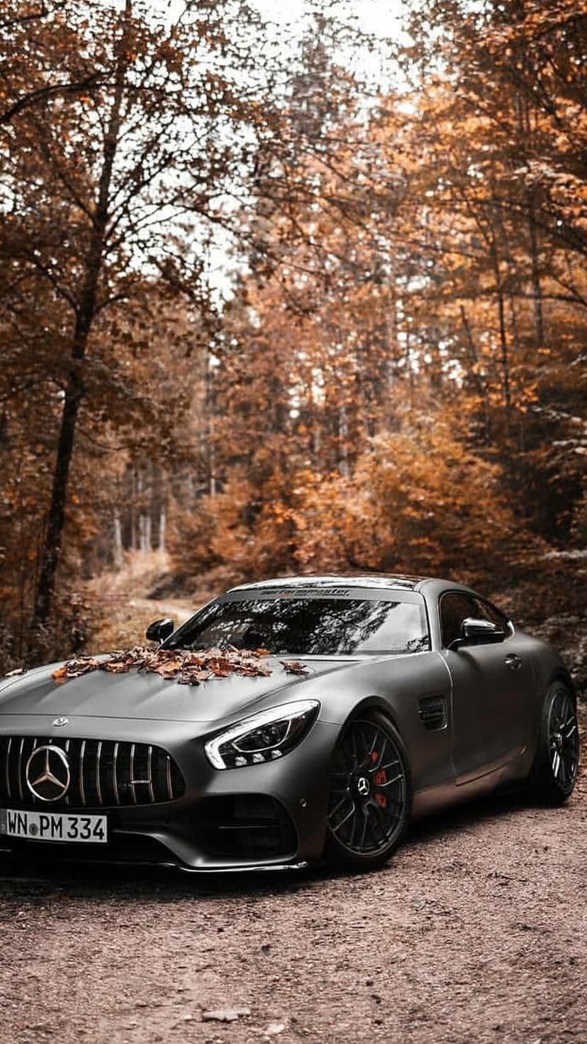 Matte grey Mercedes AMG GT parked on a dirt road surrounded by orange autumn trees and fallen leaves.