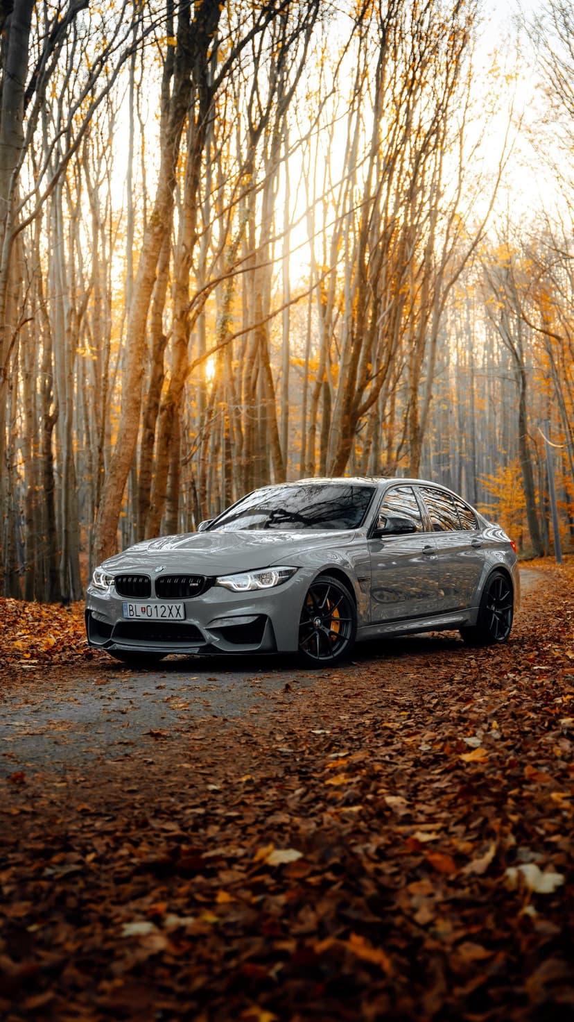 Gray BMW M4 parked on a road covered in orange autumn leaves with sunlight filtering through gold forest trees.