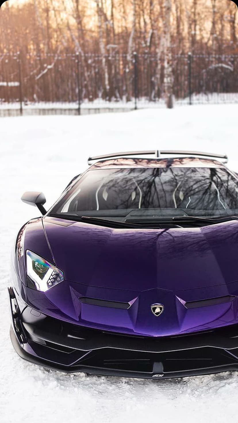 Purple Lamborghini Aventador parked in a snowy forest with golden sunlight filtering through bare winter trees.