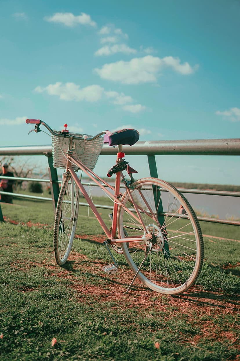 Pink vintage bicycle with a wicker basket parked on grass by a railing overlooking a calm blue lake and sky.