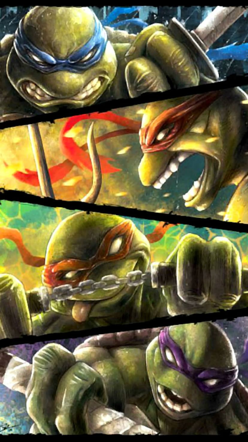 Leonardo, Raphael, Michelangelo, and Donatello pose with weapons in a gritty, high-contrast comic book collage.
