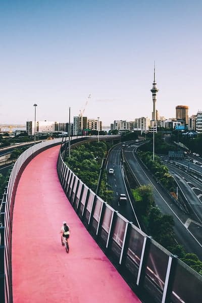 Pink Cycle Path Overlooking City and Highway