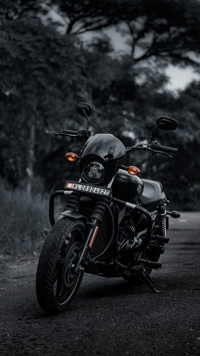 Black Harley-Davidson Street 750 with a round headlight parked on asphalt against blurred dark green trees.
