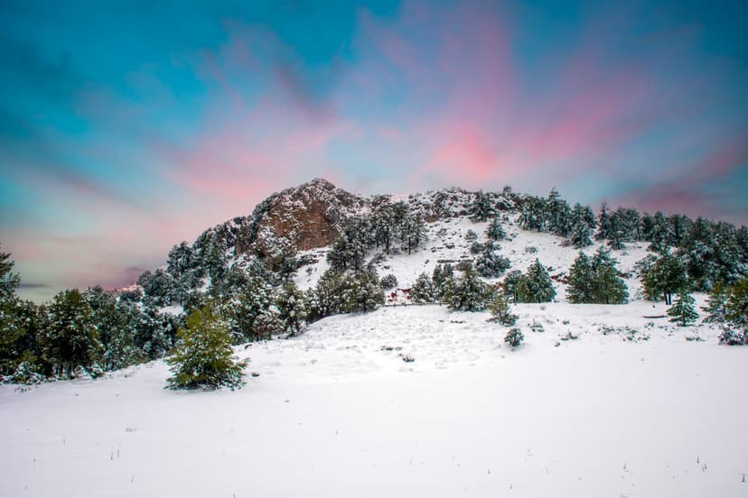 Frosted evergreen trees and snow-capped mountain peaks sit beneath a vibrant pink and teal sunrise sky.