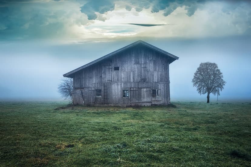 Weathered wooden barn and a leafless tree stand in a thick mist over a vibrant green field under cloudy skies.