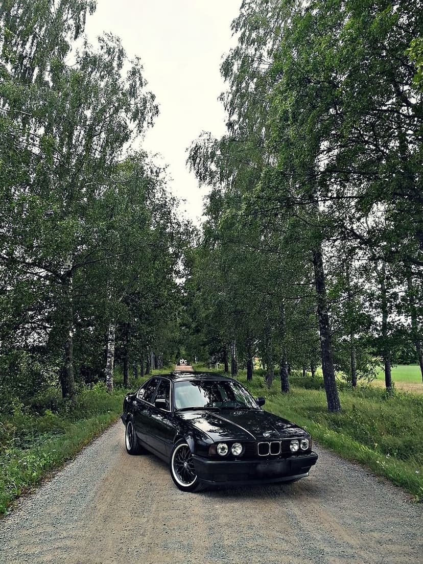 Black BMW sedan parked on a gravel path surrounded by green birch trees under a cloudy, overcast sky.