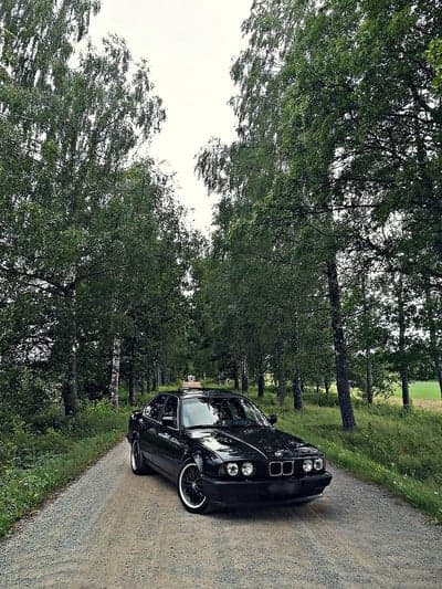 Black BMW Luxury Sedan in Green Birch Forest Wallpaper