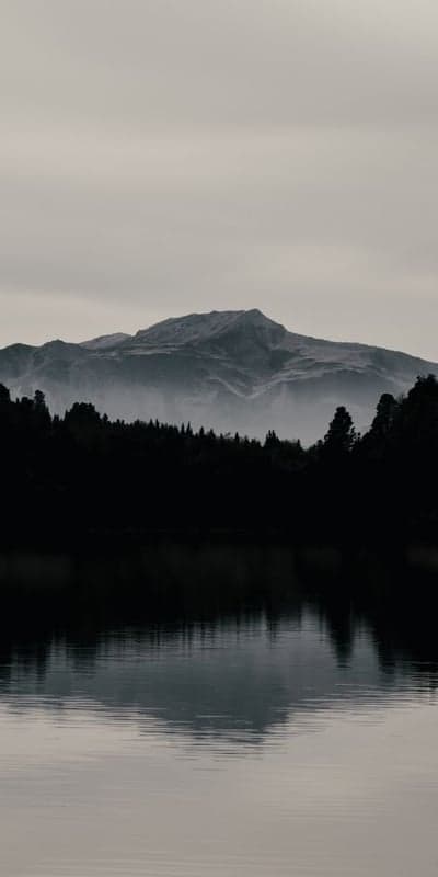 Misty Lakeside - Mountains and Forest Reflected in Calm Water