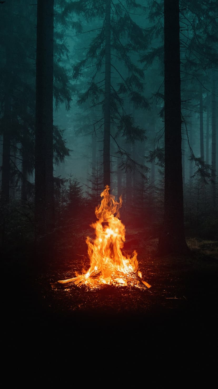 Bright campfire flames glow against a backdrop of foggy pine trees and dark forest shadows at night.