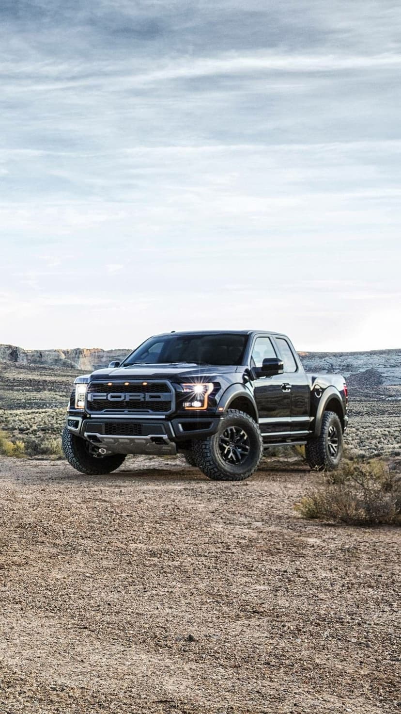Black Ford Raptor truck parked on a textured dirt path in a vast desert landscape under a bright hazy sky.