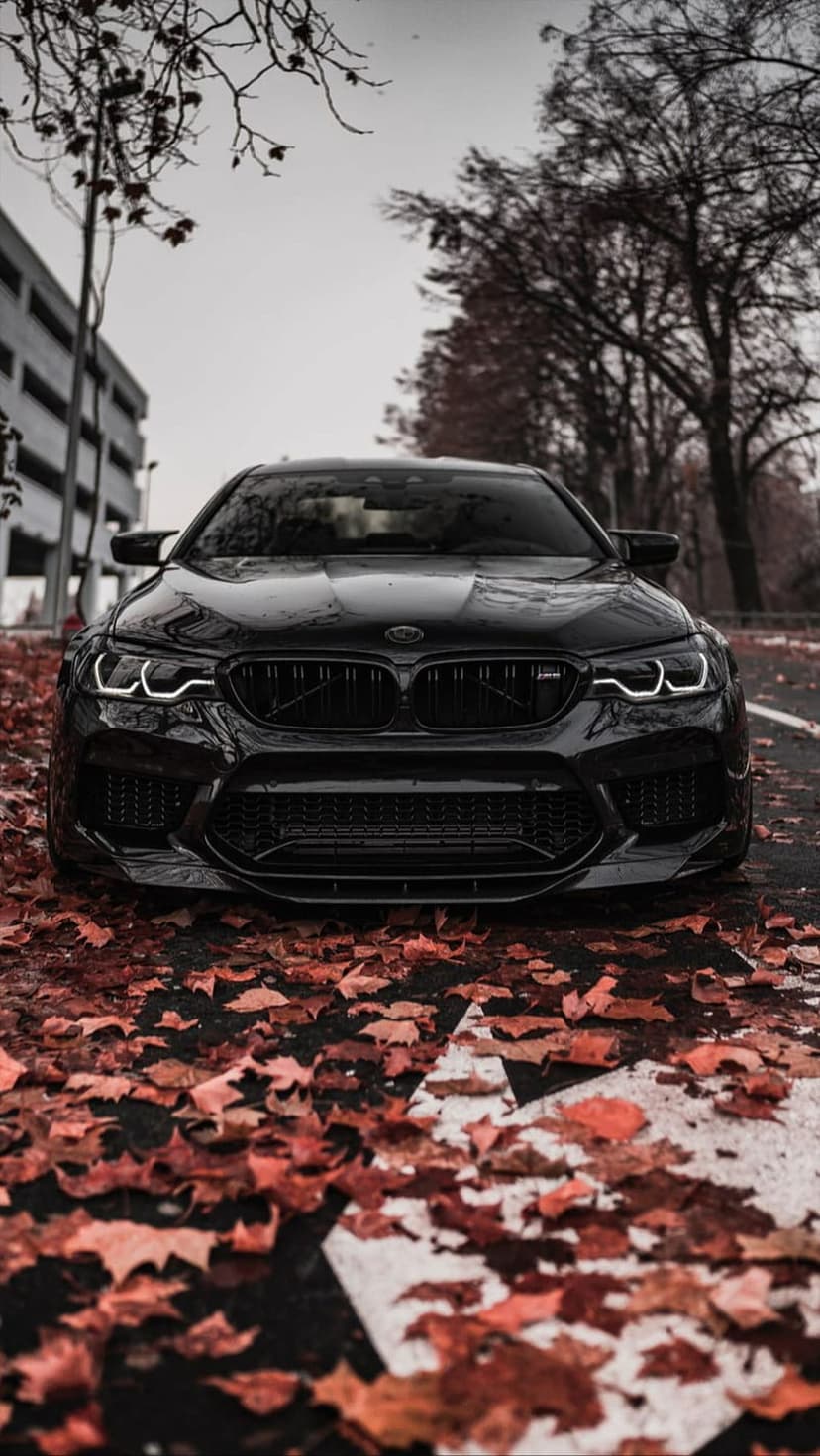 Black BMW M5 parked on wet pavement covered in red autumn leaves with a low-angle view of the front grille.