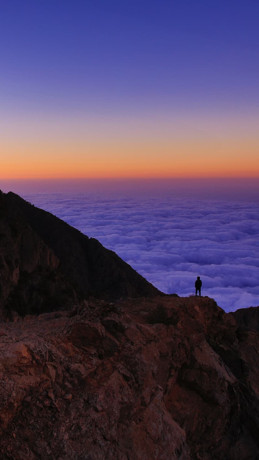 A person silhouetted on a rocky mountain peak overlooks a vast sea of purple and orange clouds during twilight.