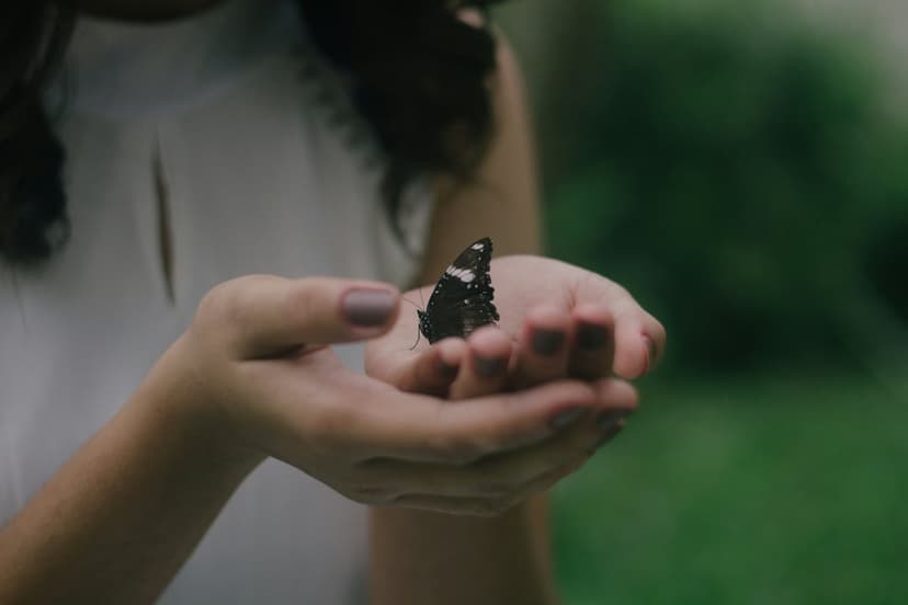 Woman's cupped hands cradle a black butterfly with white markings against a blurred green forest background.