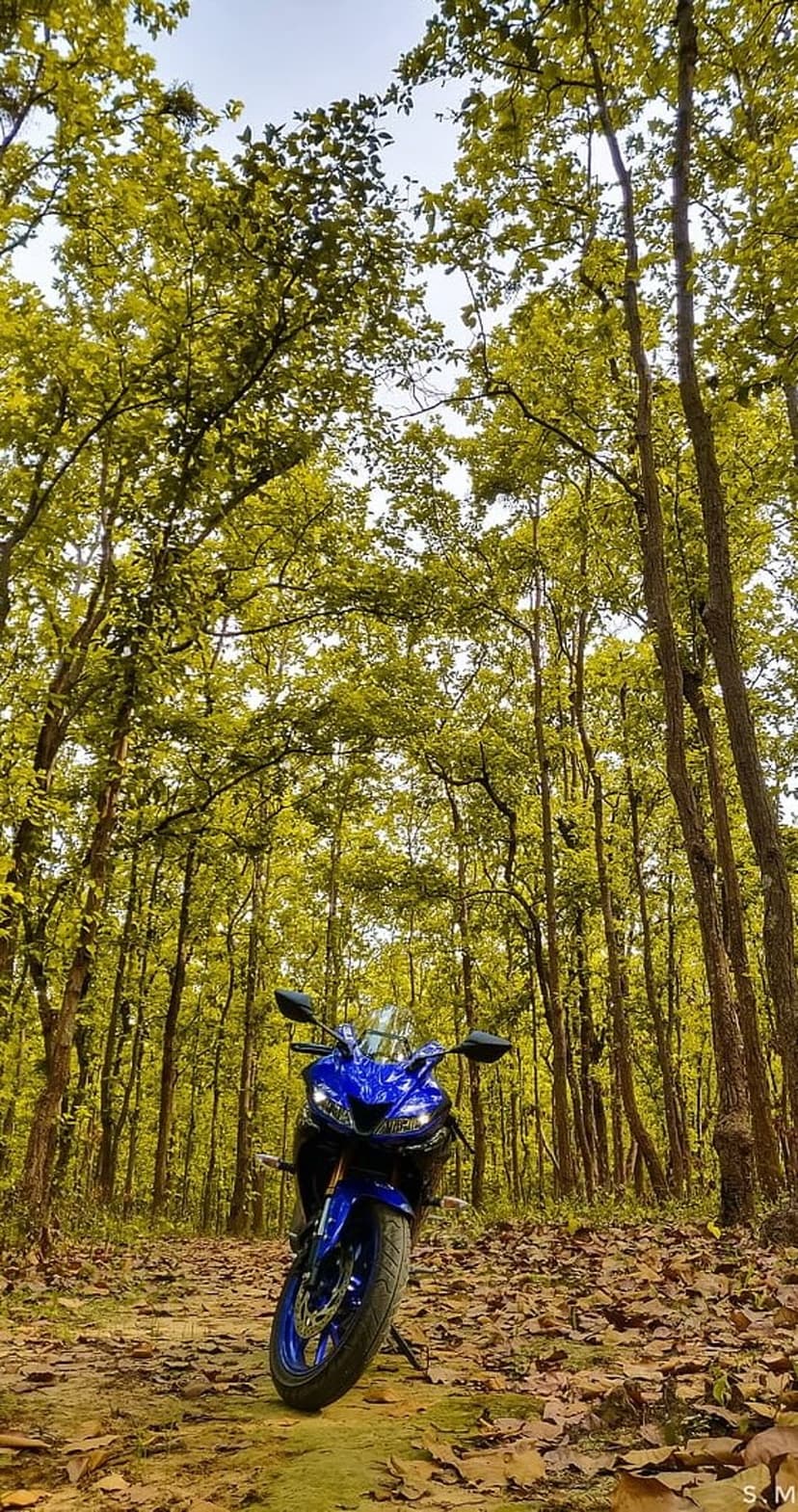 Blue sport motorcycle sits on a dirt path under sun-drenched trees with scattered leaves on the forest floor.