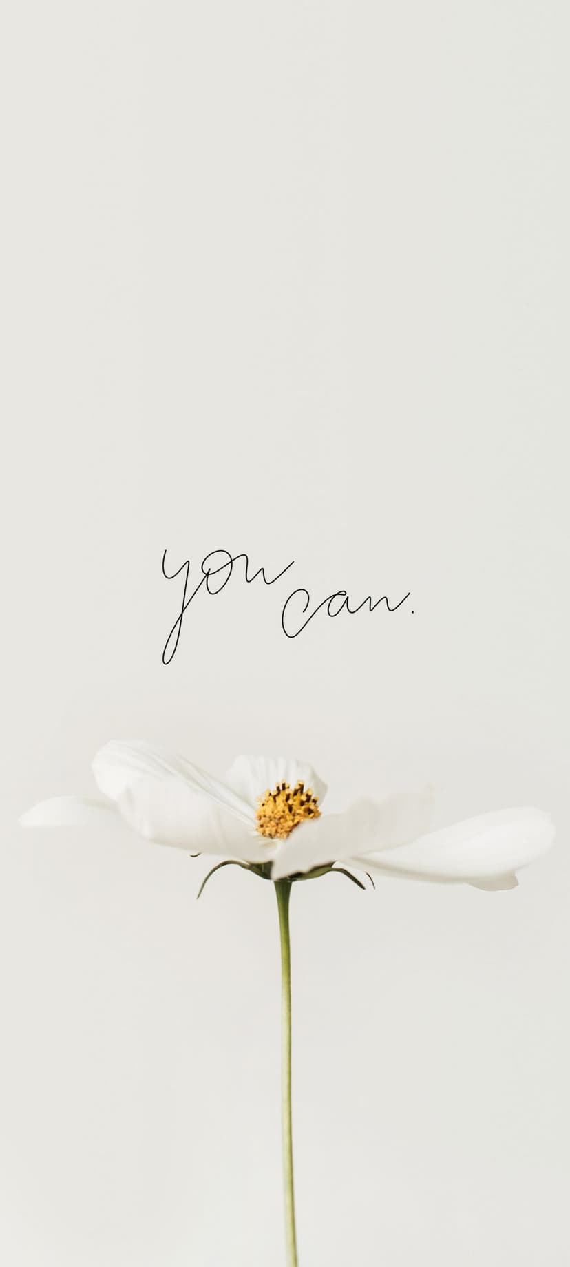 White flower with a yellow center below the black script phrase you can on a solid bright white background.