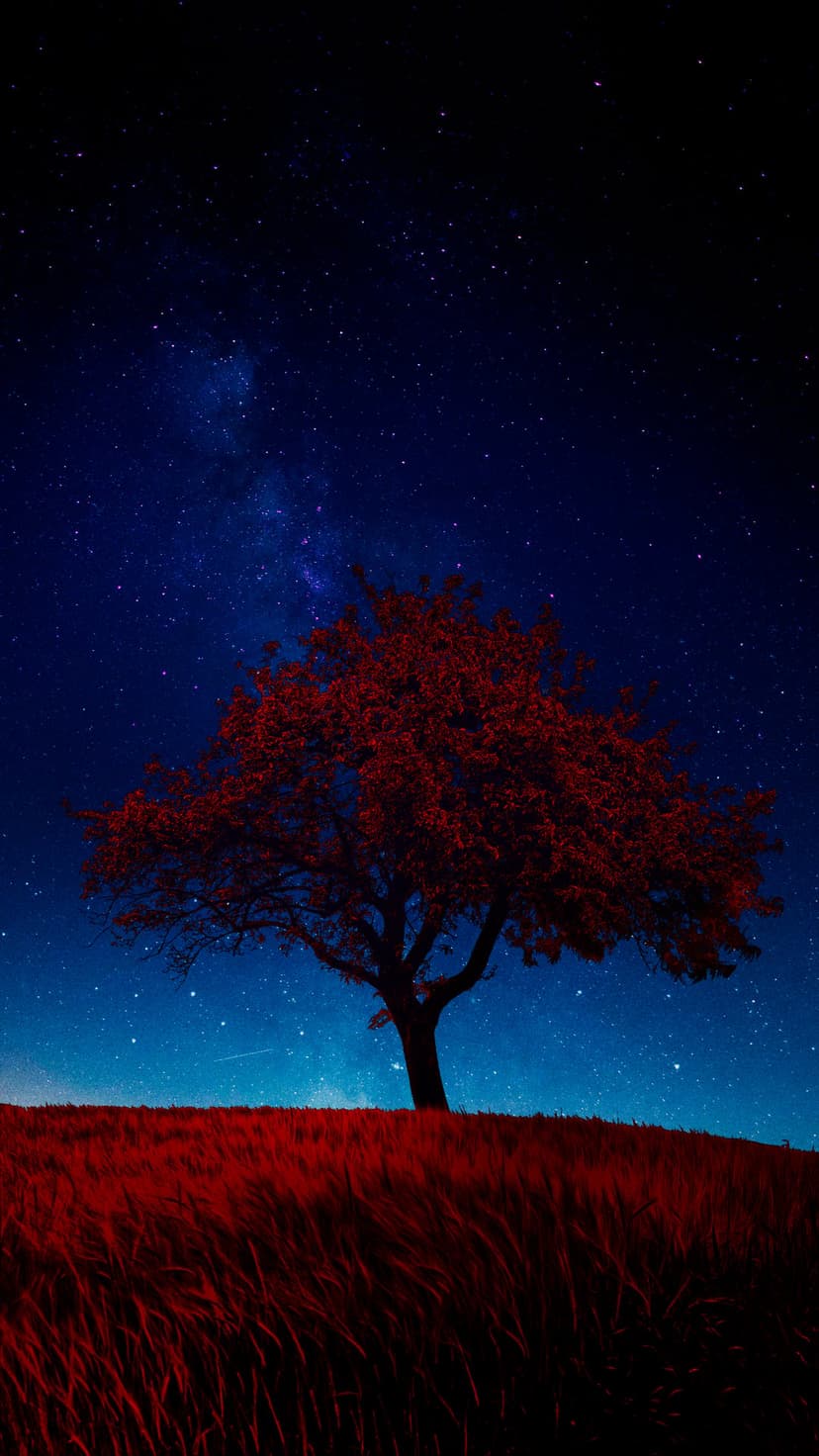 Solitary red tree on a grassy hill beneath a glowing Milky Way galaxy and a dense field of brilliant white stars.