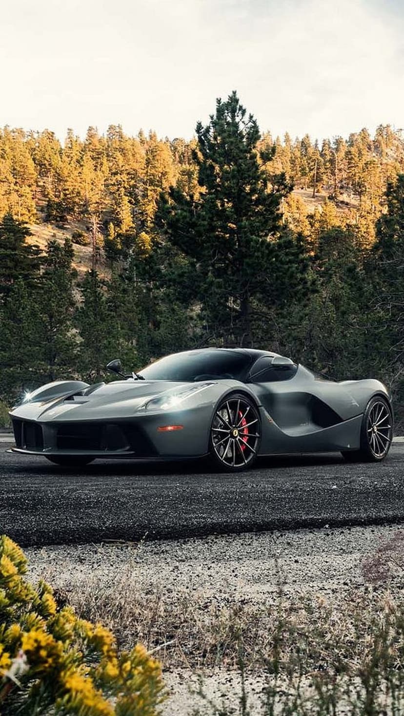 Gray Ferrari sports car parked on an asphalt road surrounded by a pine forest during a golden hour sunset.