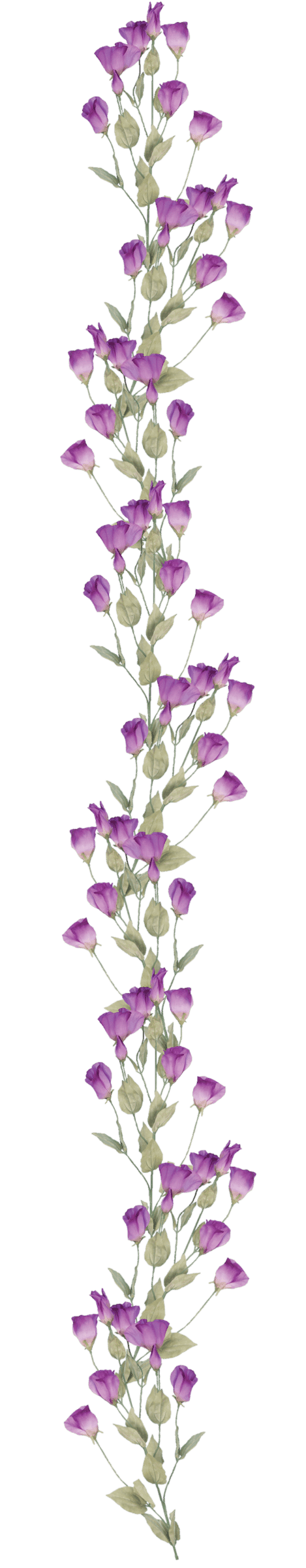 Purple nosegay flower arrangement features pink violet petals and thin green stems against a clear background.