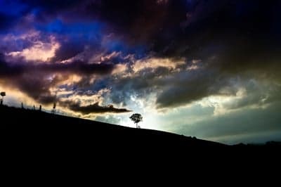 Stormy Twilight Sky and Lone Tree Silhouette Wallpaper