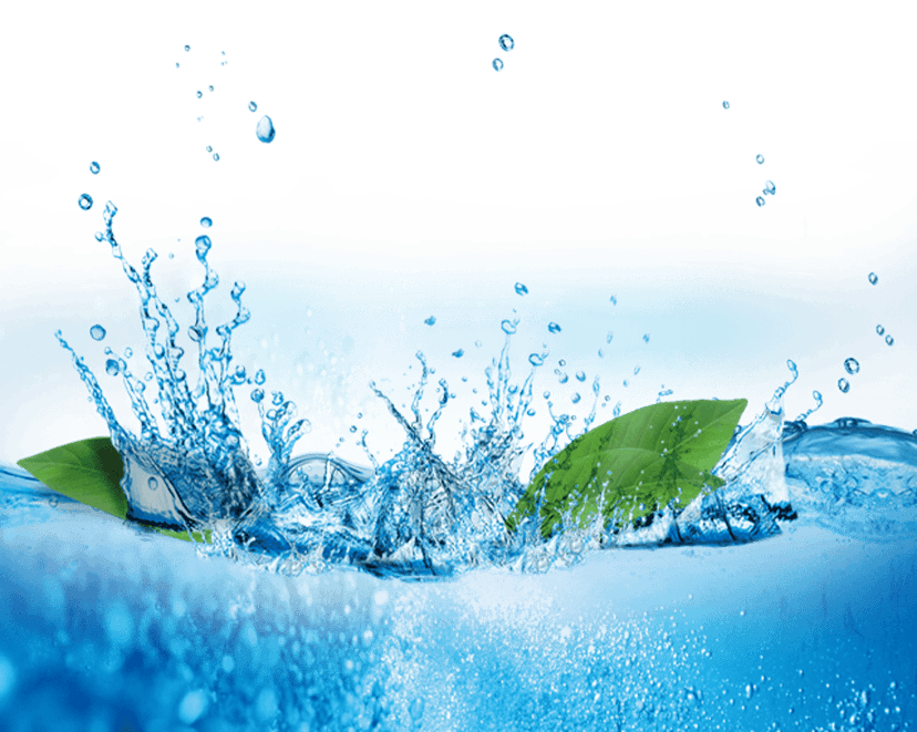 Green leaf with water splash droplets showing realistic liquid motion and transparent crystalline textures.