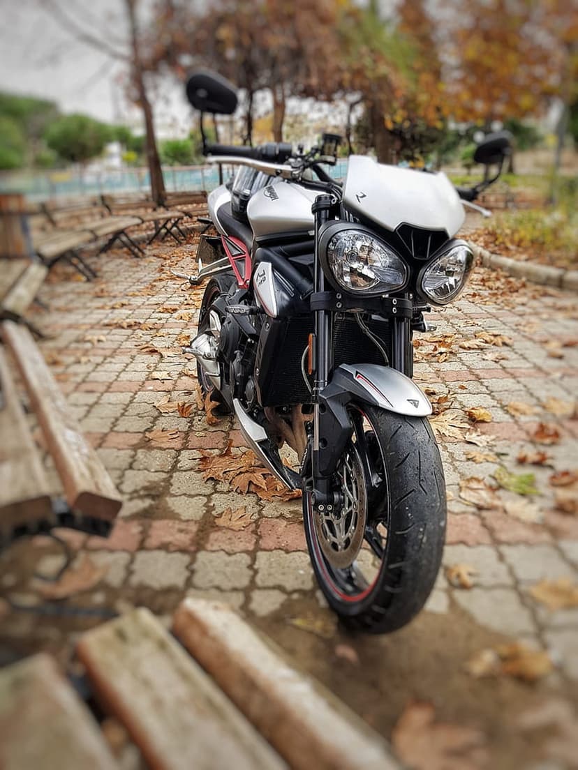 Triumph Street Triple motorcycle with twin headlights parked on a cobblestone path covered in orange autumn leaves.