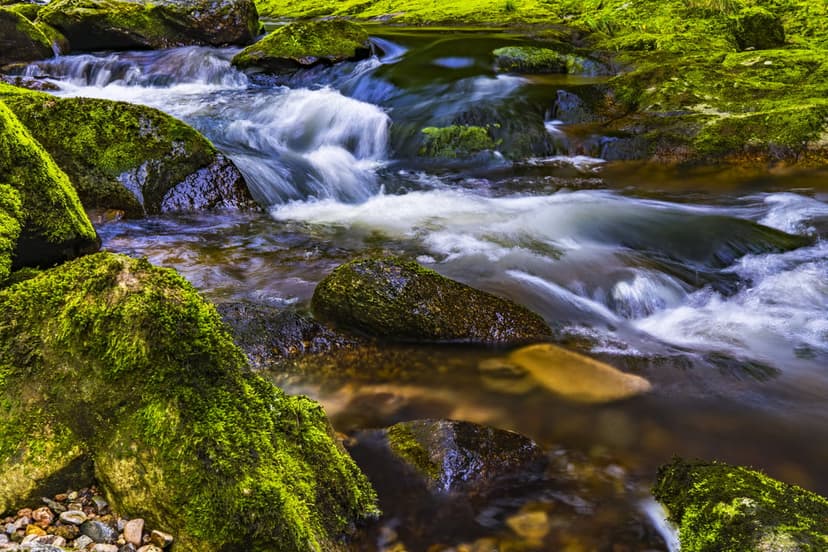 Moss-covered boulders sit in a flowing woodland stream with silky water effects and lush green foliage.