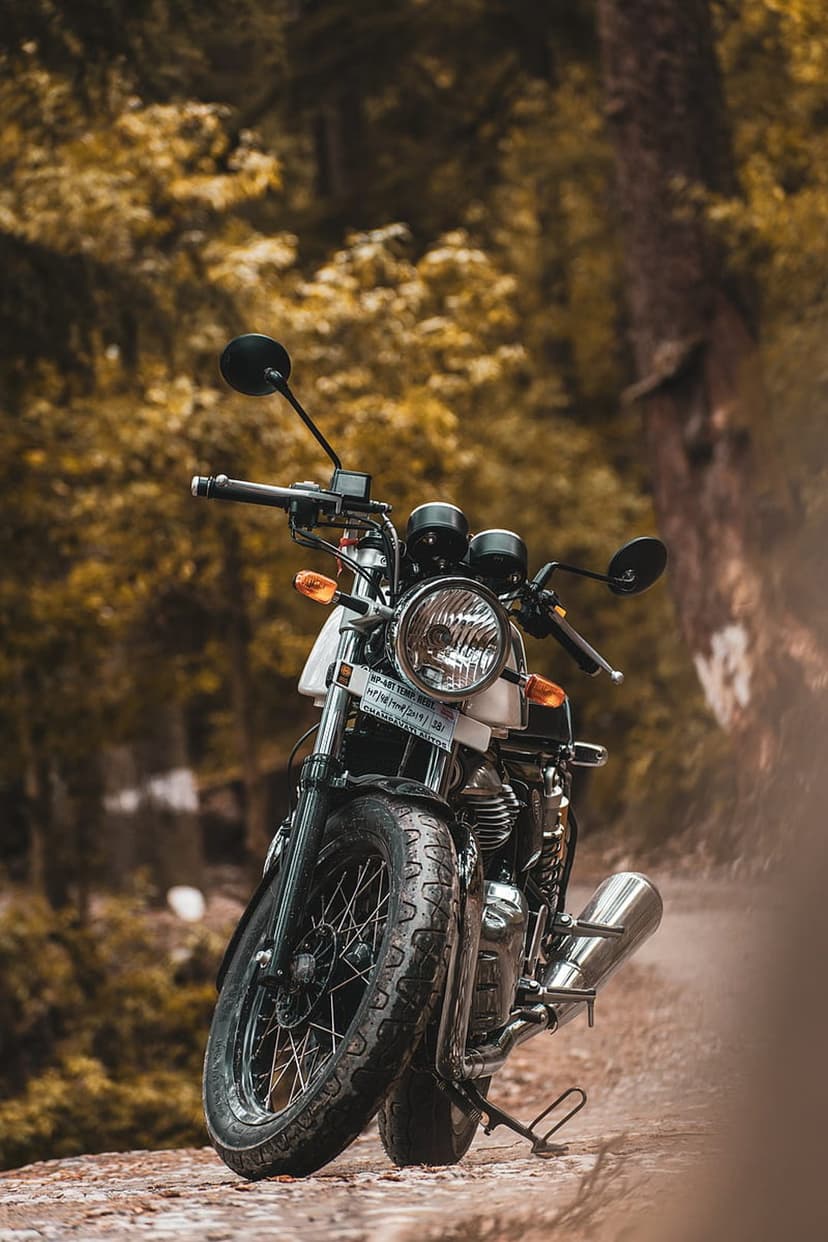 Royal Enfield Interceptor 650 motorcycle parked on a dirt forest road with chrome pipes and green trees.