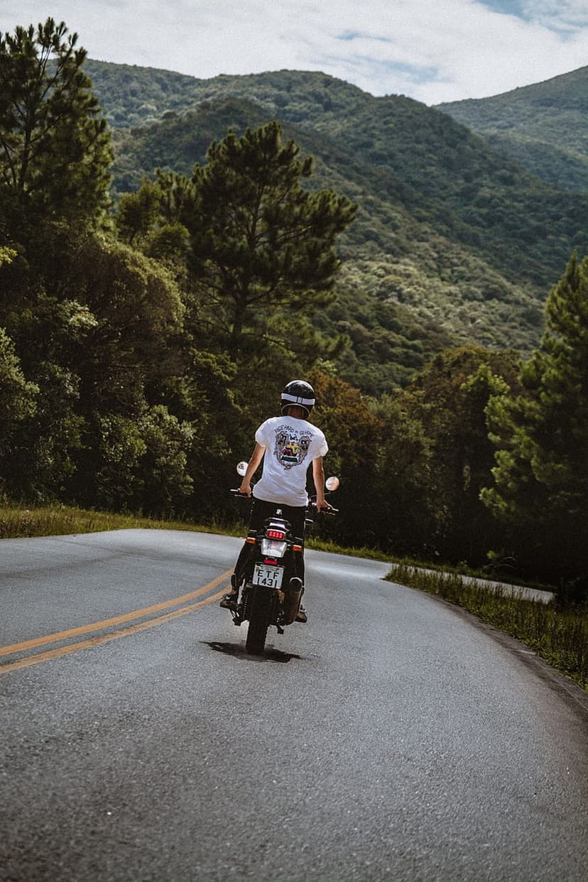 Motorcyclist in a white t-shirt riding on a curved mountain road through a lush sunlit pine forest.