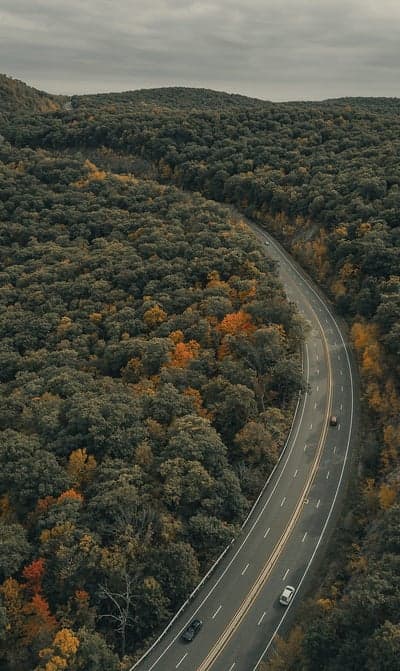 Scenic Autumn Road Through Lush Forest