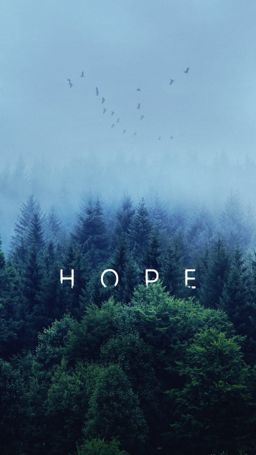 Birds fly in V-formation above misty evergreen trees with white hope text centered at the bottom of the frame.