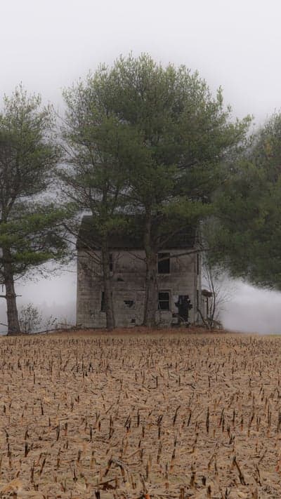Silent Sentinels of the Field