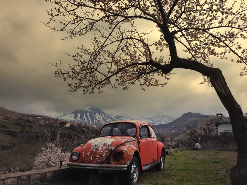 Rusty orange VW Beetle parked under a bare tree with snow-capped mountains and a cloudy sky in the background.