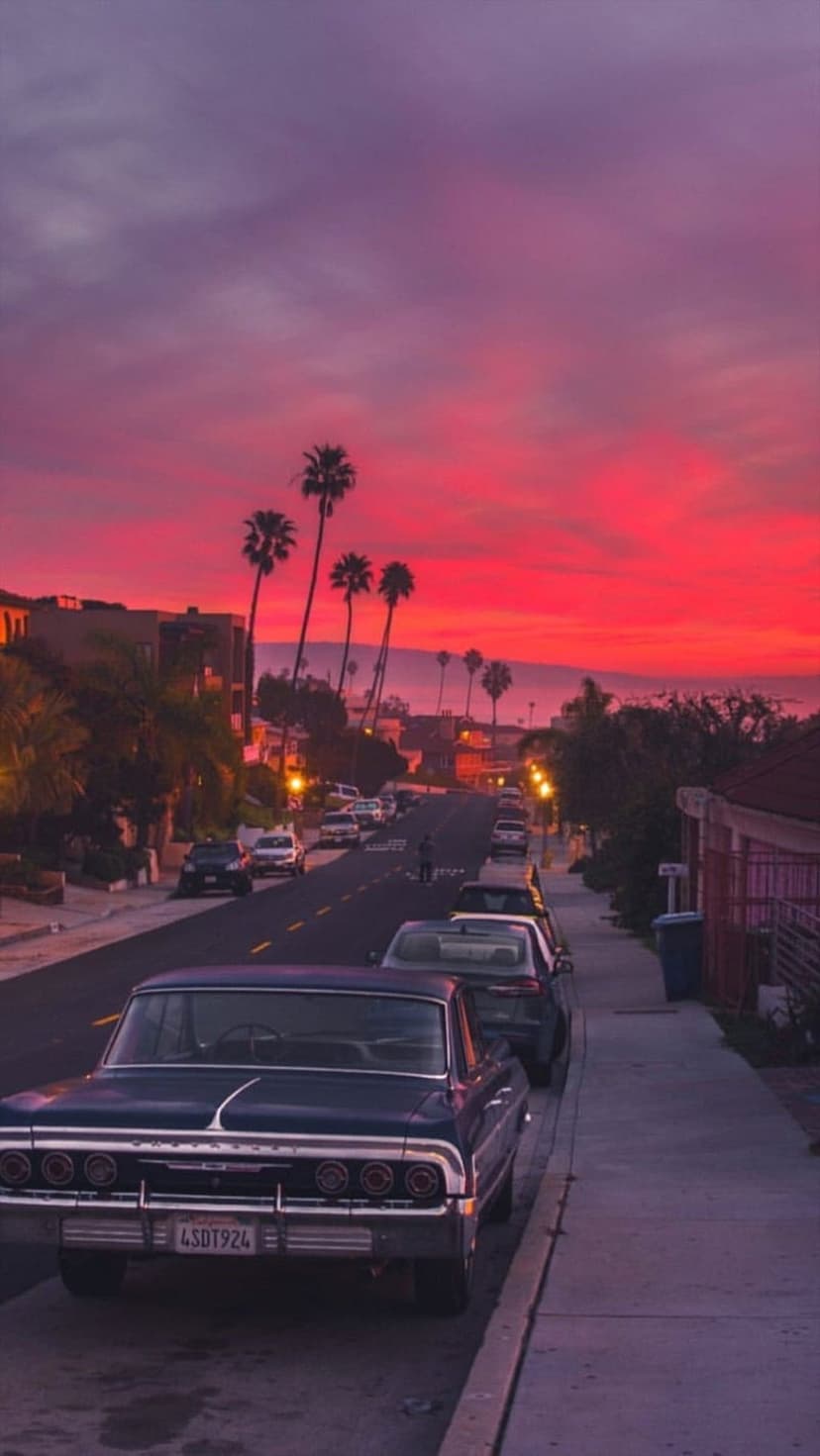 Classic cars parked along a residential street lined with tall palm trees under a fiery pink and purple sunset sky.