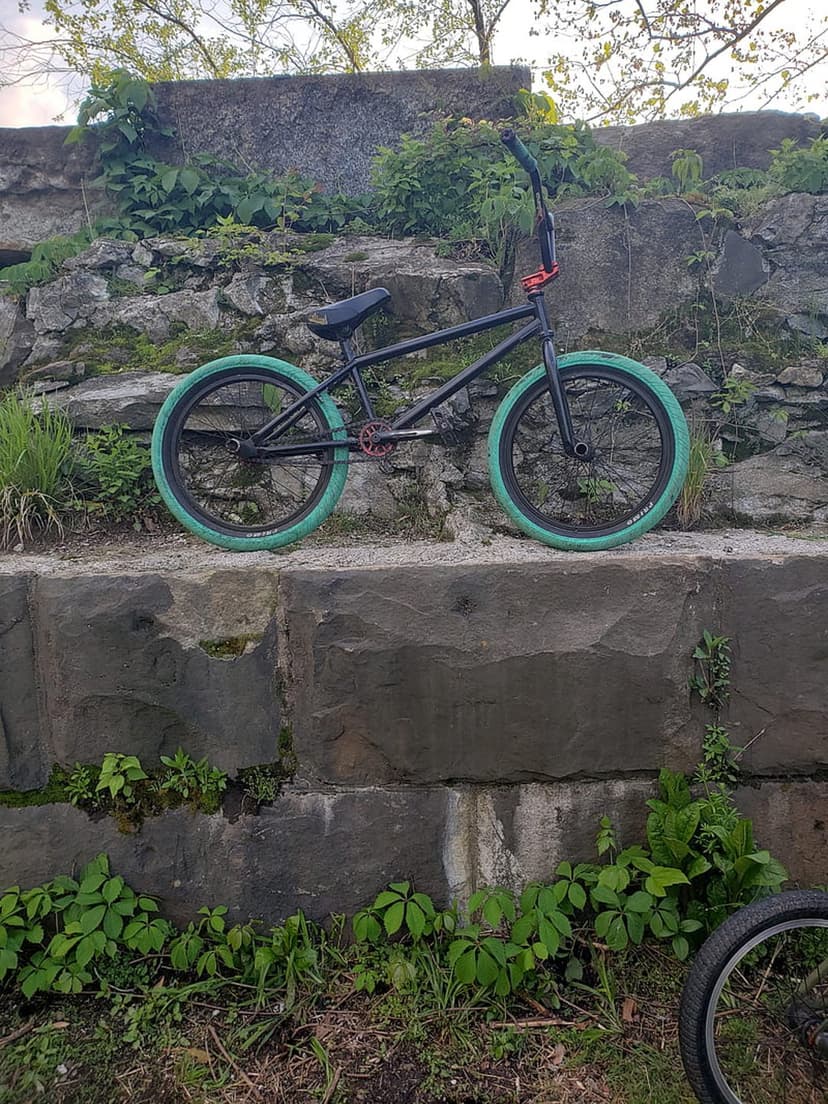 BMX bike with bright teal tires and red pedals leaning against a textured stone wall with green climbing vines.