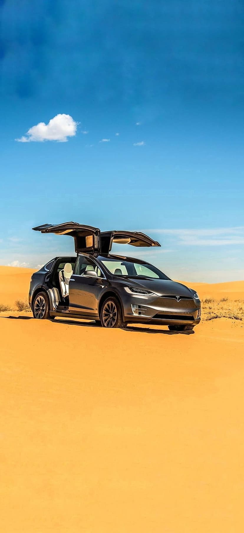 Dark gray Tesla Model X SUV with open falcon doors parked on golden sand dunes under a bright blue desert sky.