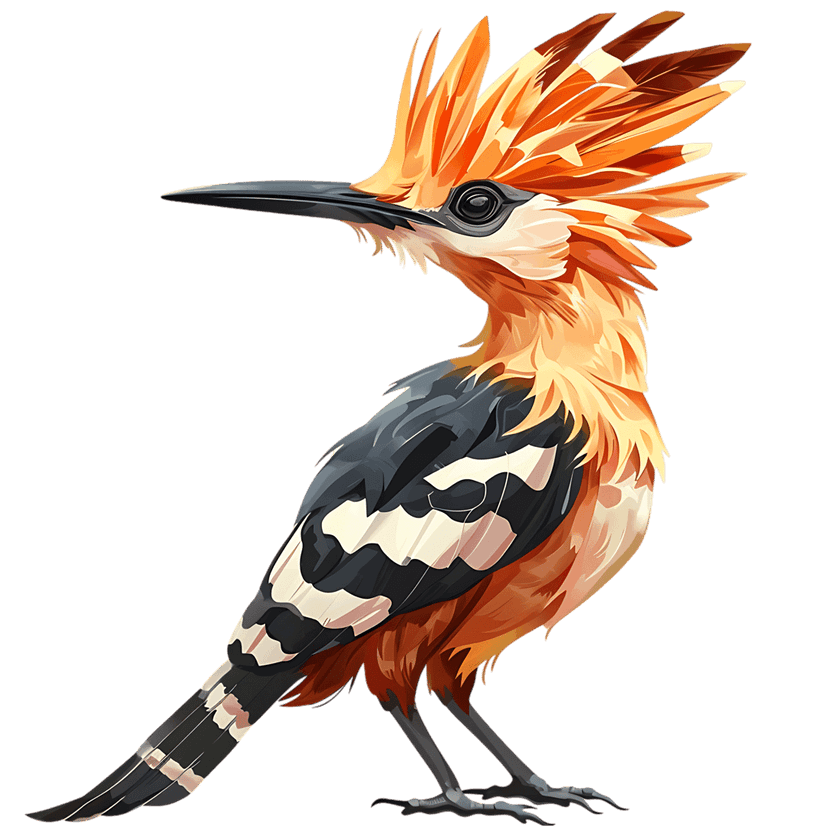 Hoopoe bird profile illustration showing an orange crest and black striped wings on a dark background.
