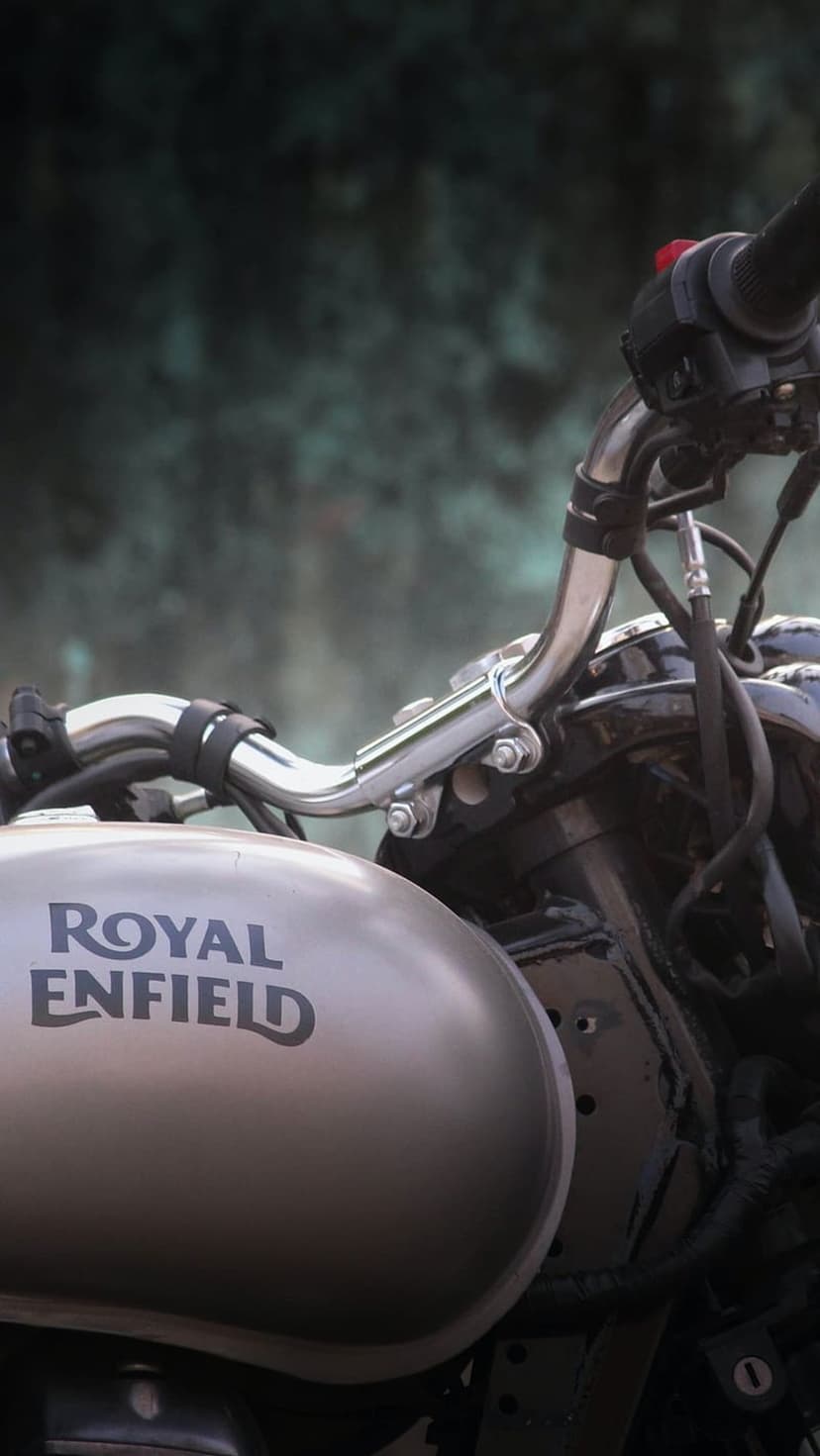 Royal Enfield silver fuel tank and chrome handlebars with mechanical switches against a blurred green background.