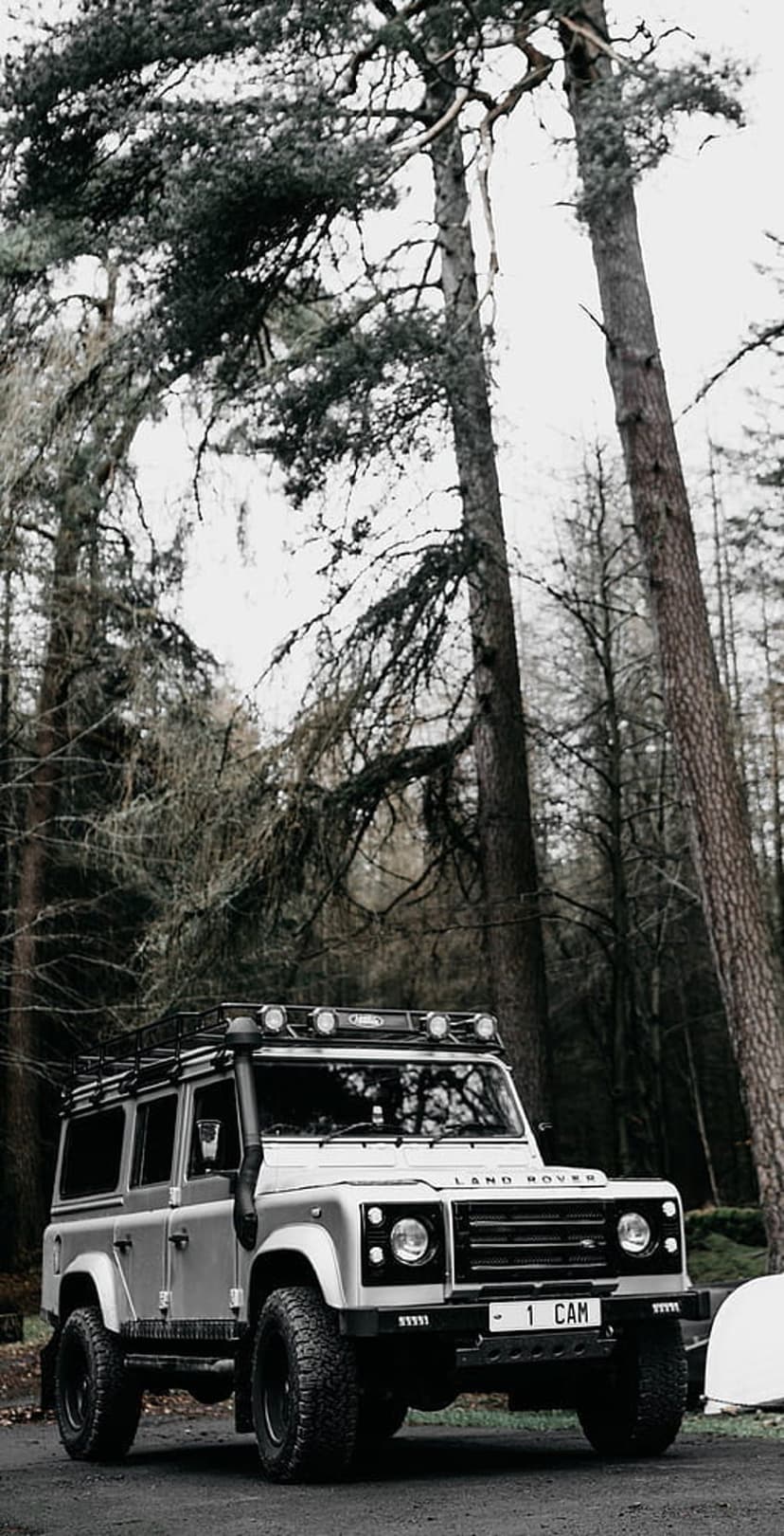 Land Rover Defender with a roof rack on an asphalt road surrounded by dark, leafless trees in a misty forest.