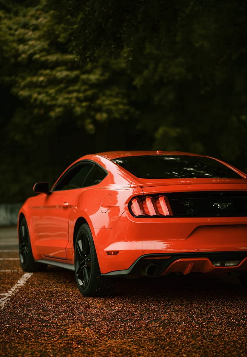 Ford Mustang rear view in bright orange with dual exhausts on gravel against a dark, out-of-focus forest.