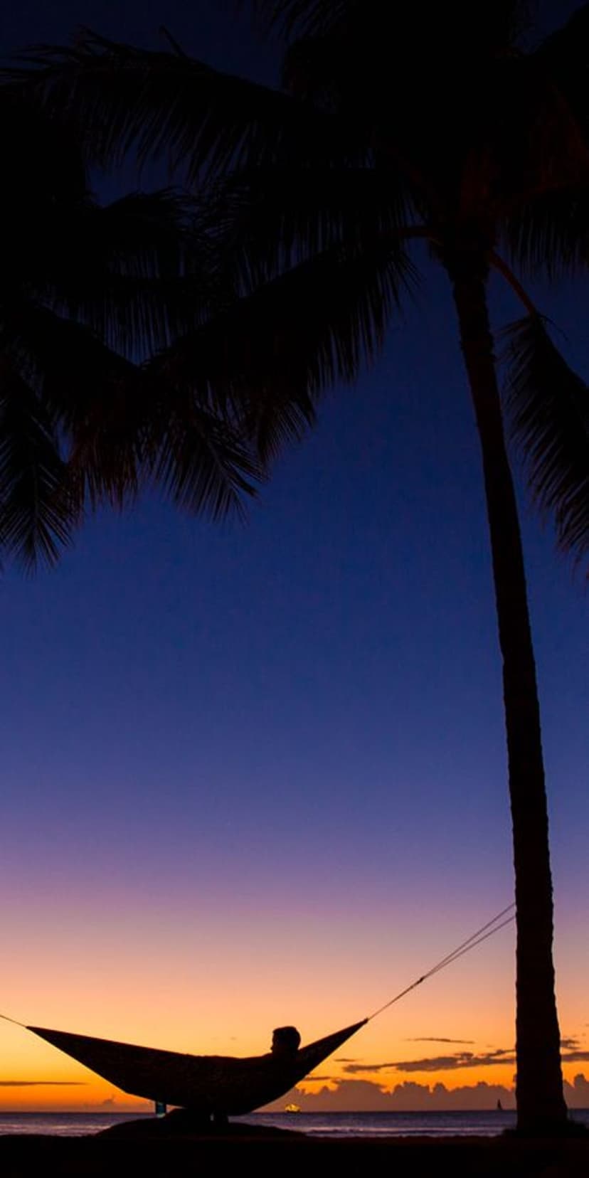 A person rests in a hammock between two palm tree silhouettes against a vibrant orange and blue sunset sky.